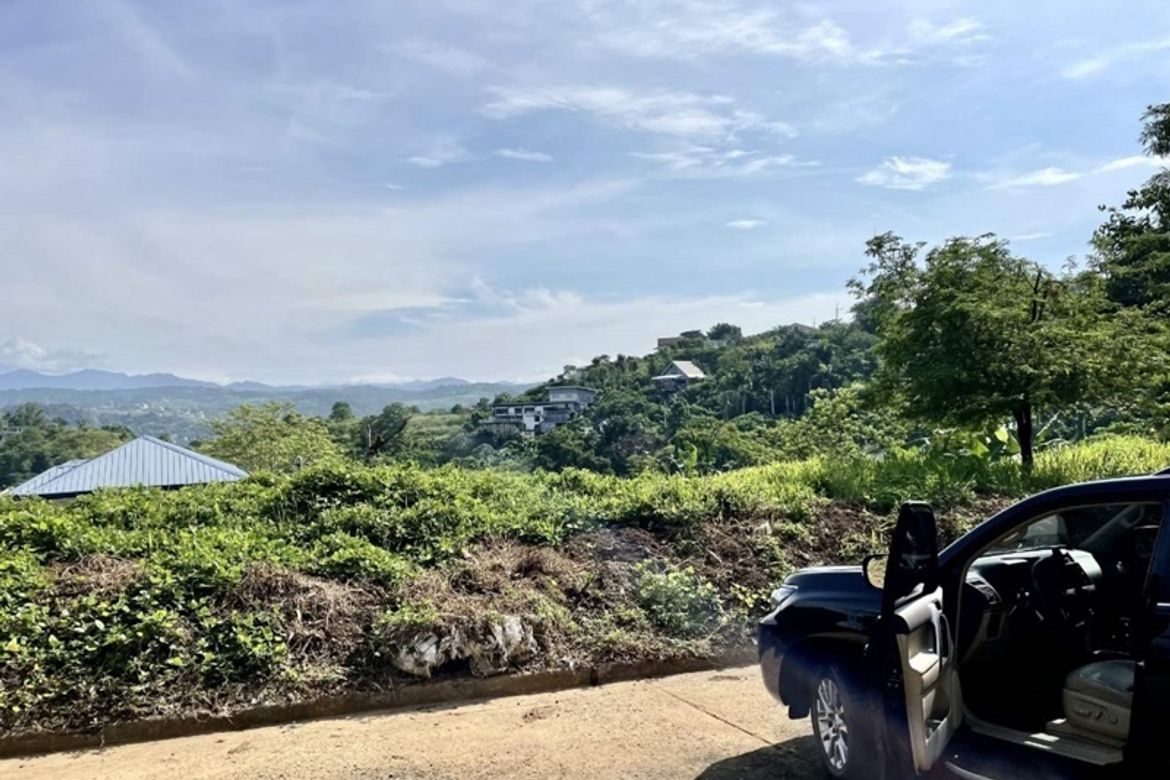 Land for Sale in Santa Cruz, Antipolo, Rizal – photo 8
