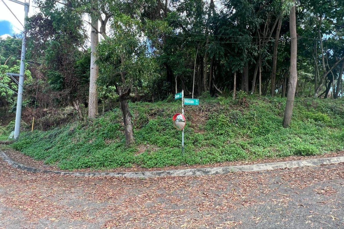 Land for Sale in Santa Cruz, Antipolo, Rizal – photo 5