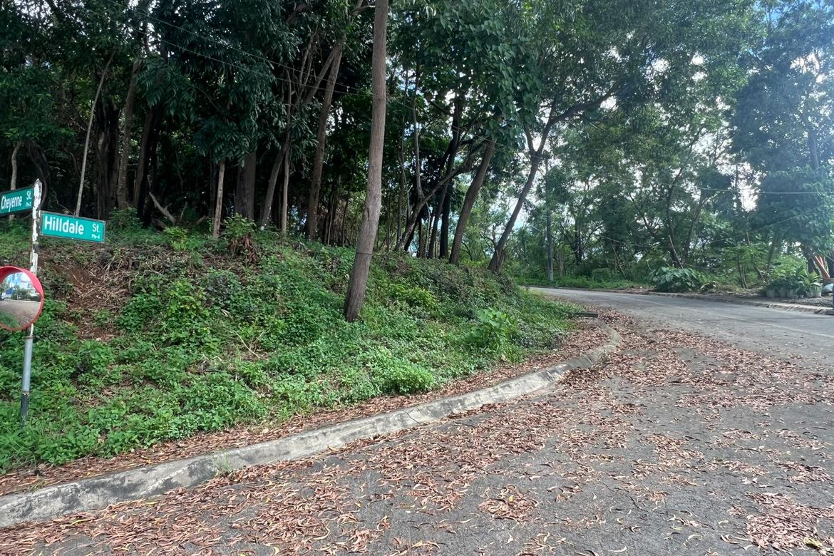 Land for Sale in Santa Cruz, Antipolo, Rizal – photo 7