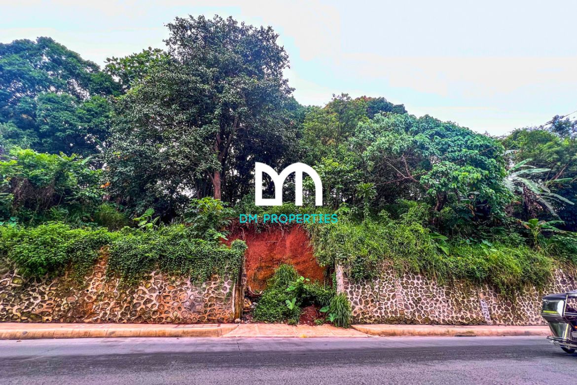 Land for Sale in Santa Cruz, Antipolo, Rizal