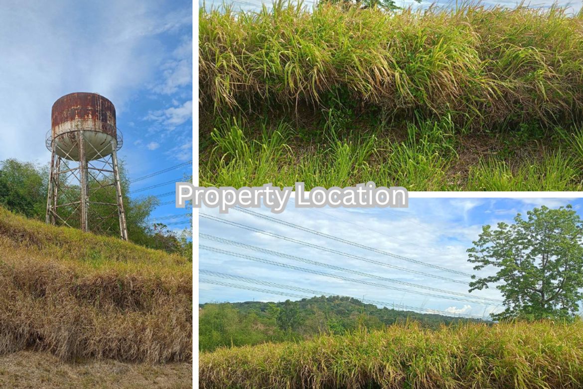 Land for Sale in Santa Cruz, Antipolo, Rizal – photo 4