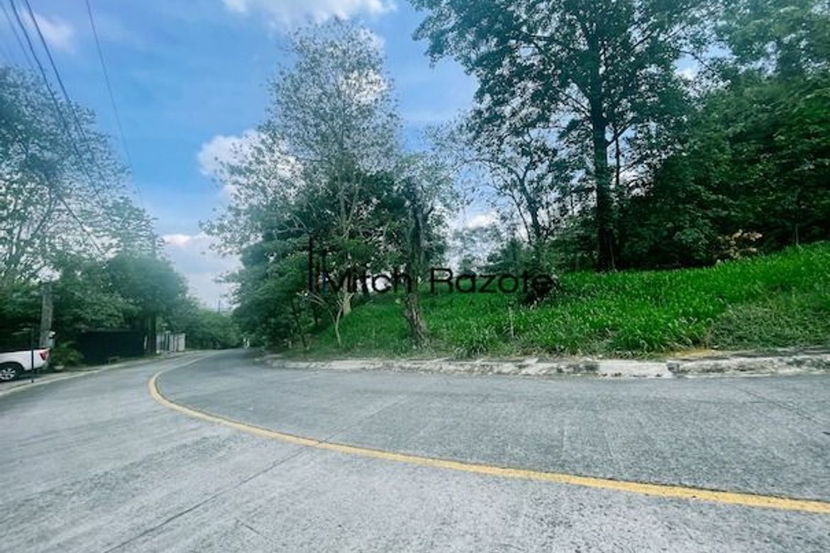 Land for Sale in Santa Cruz, Antipolo, Rizal – photo 2