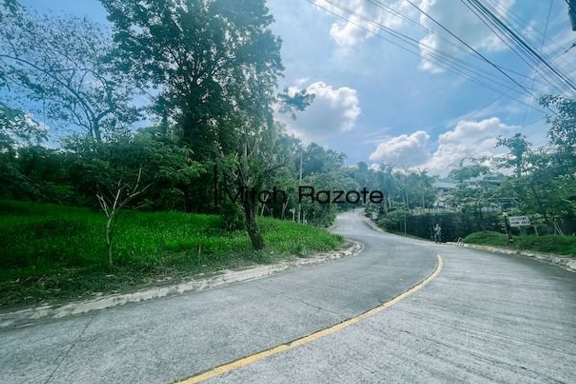 Land for Sale in Santa Cruz, Antipolo, Rizal – photo 5