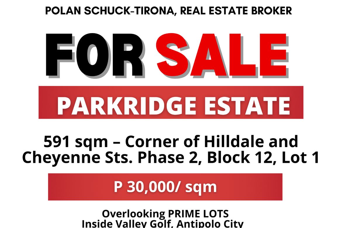 Land for Sale in Santa Cruz, Antipolo, Rizal – photo 4