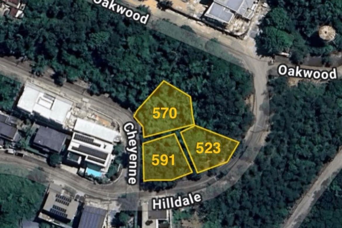 Land for Sale in Santa Cruz, Antipolo, Rizal – photo 7