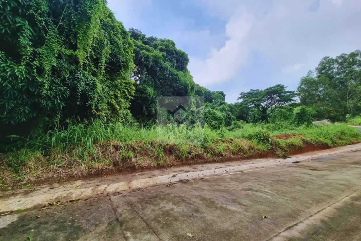 Land for Sale in Santa Cruz, Antipolo, Rizal