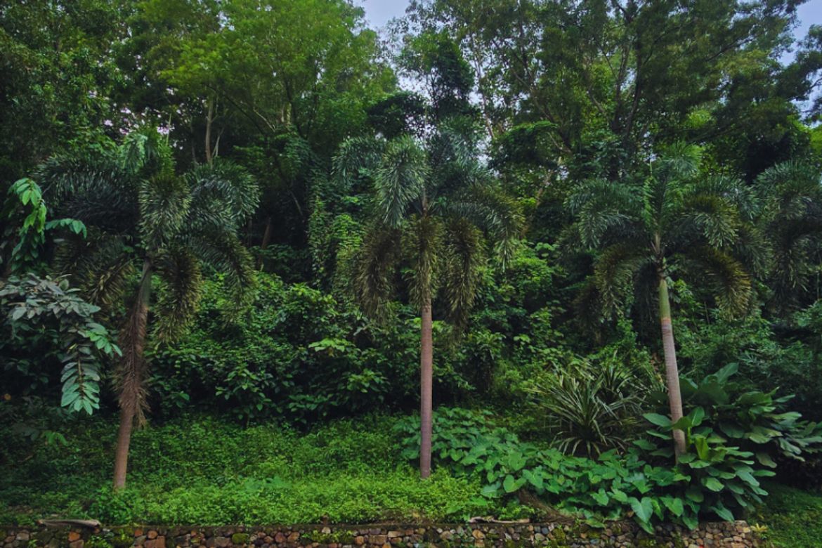 Land for Sale in Santa Cruz, Antipolo, Rizal – photo 7