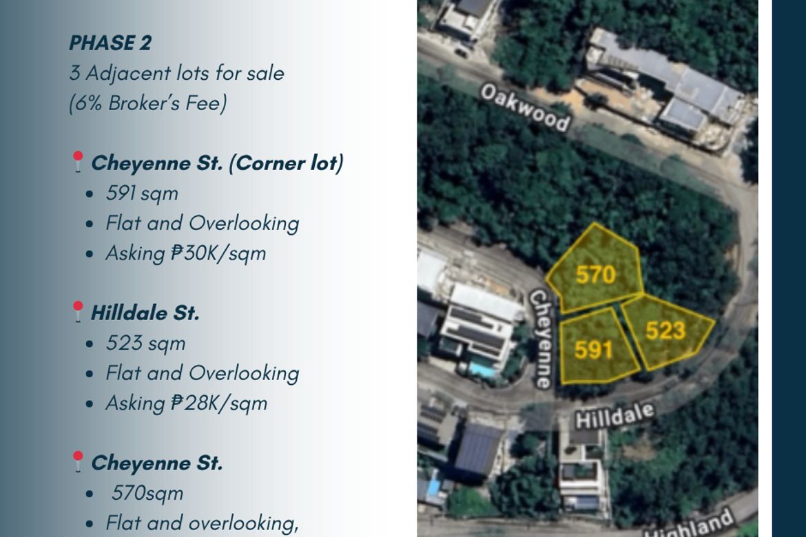 Land for Sale in Santa Cruz, Antipolo, Rizal – photo 2
