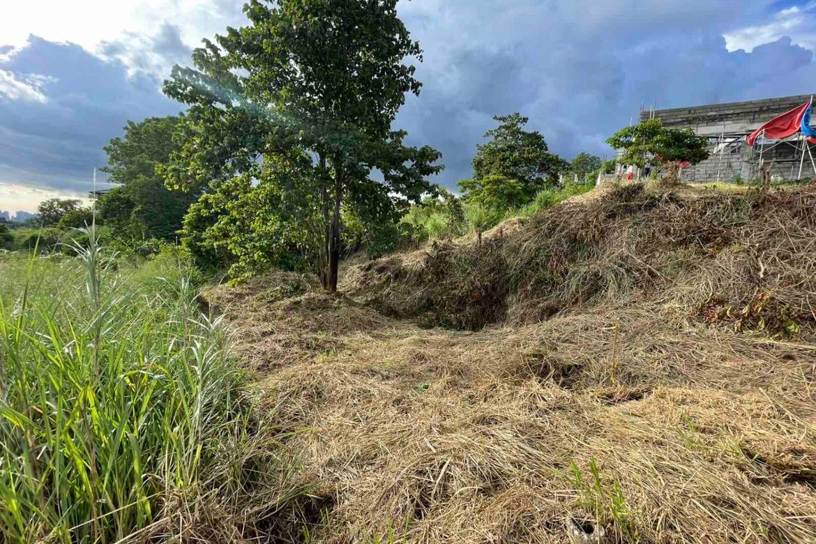Land for Sale in Santa Cruz, Antipolo, Rizal