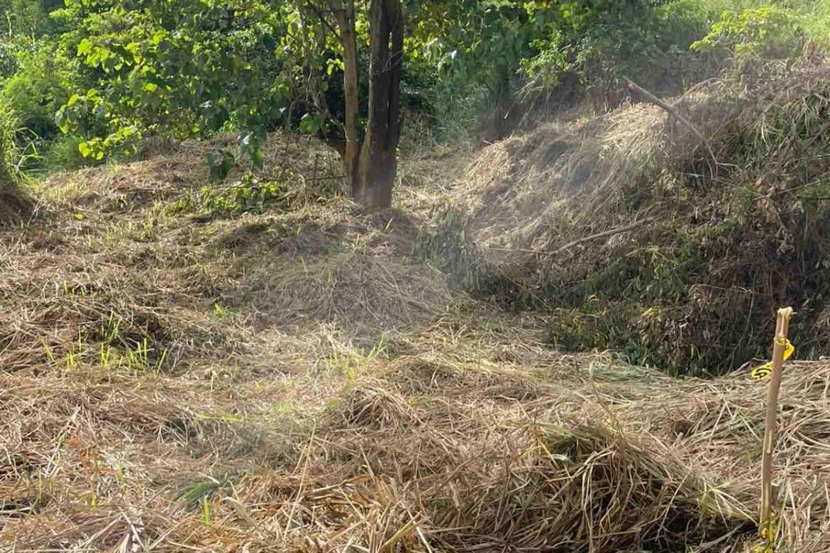 Land for Sale in Santa Cruz, Antipolo, Rizal – photo 2
