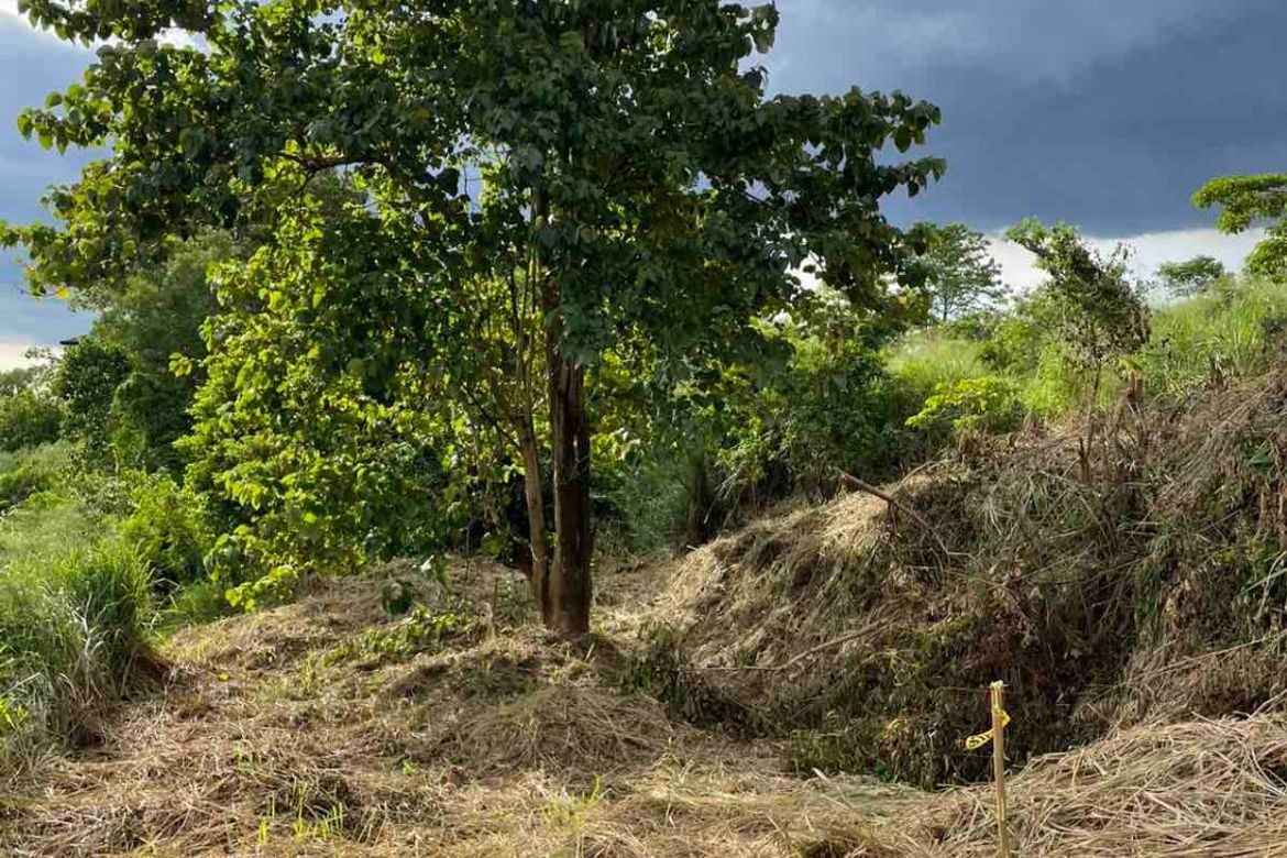 Land for Sale in Santa Cruz, Antipolo, Rizal – photo 3