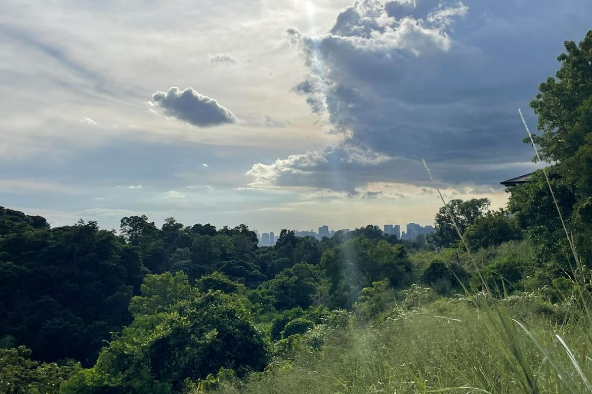 Land for Sale in Santa Cruz, Antipolo, Rizal – photo 4