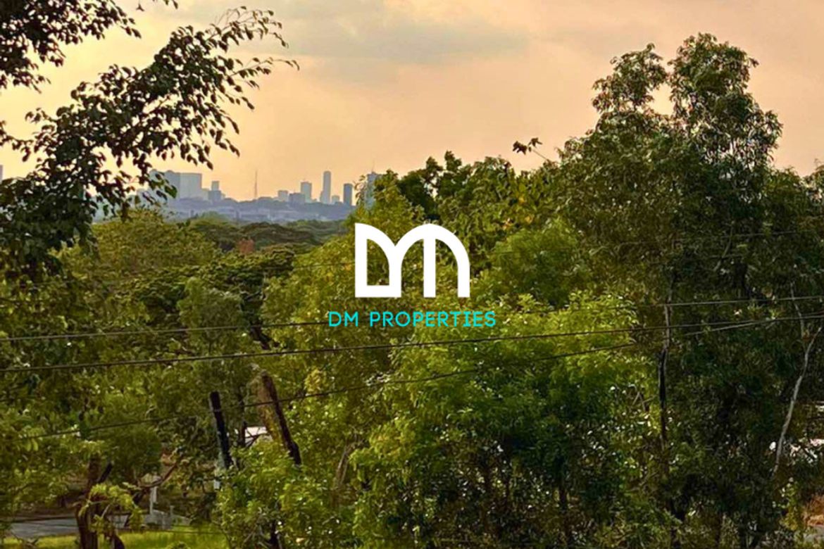 Land for Sale in Santa Cruz, Antipolo, Rizal
