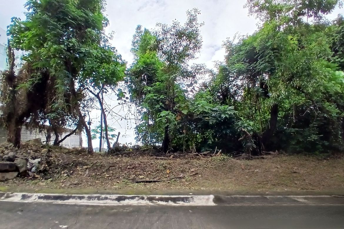 Land for Sale in Santa Cruz, Antipolo, Rizal