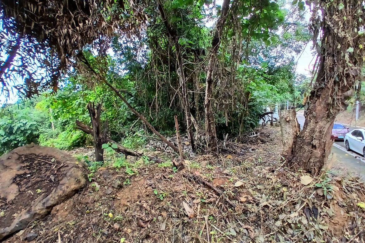 Land for Sale in Santa Cruz, Antipolo, Rizal – photo 2