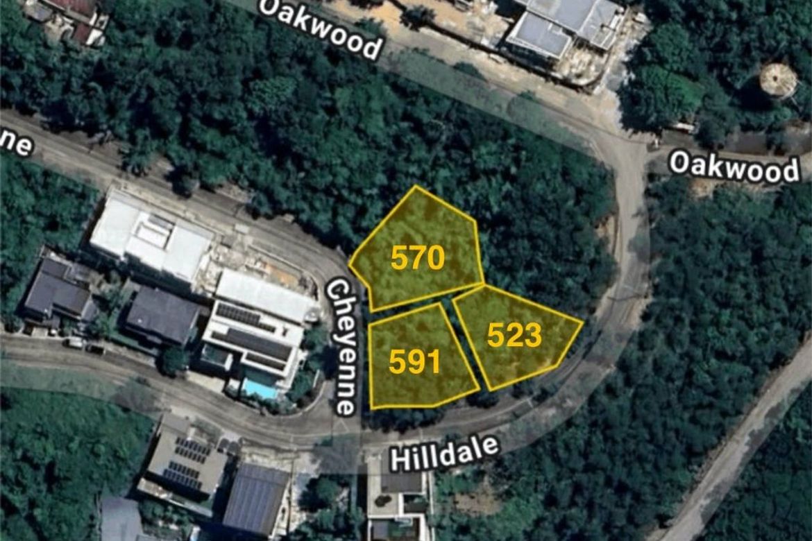 Land for Sale in Santa Cruz, Antipolo, Rizal