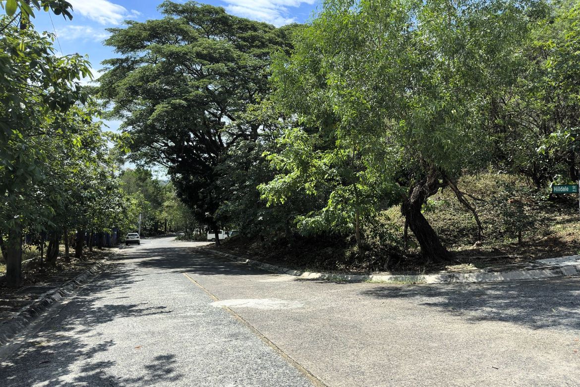 Land for Sale in Santa Cruz, Antipolo, Rizal – photo 3
