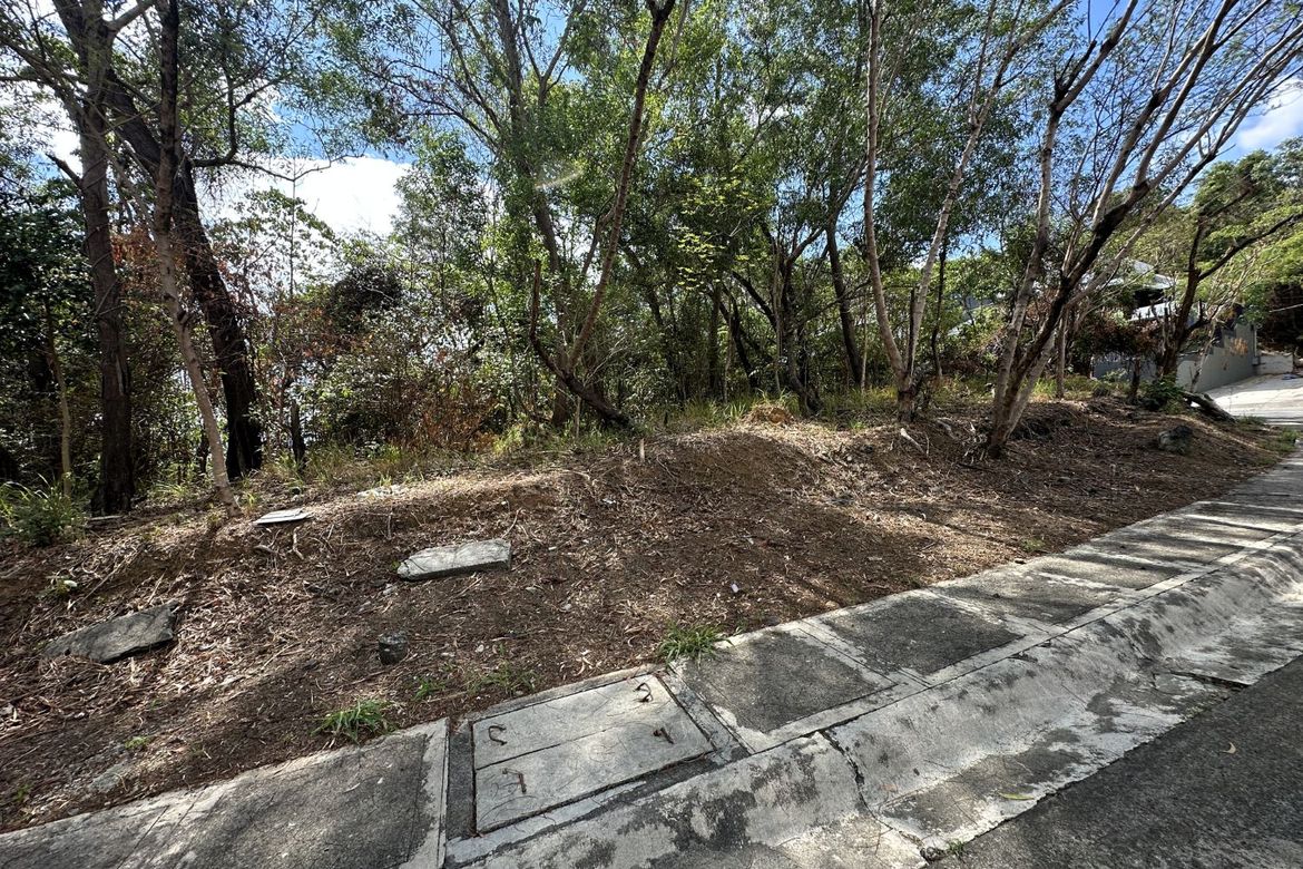 Land for Sale in Santa Cruz, Antipolo, Rizal – photo 6