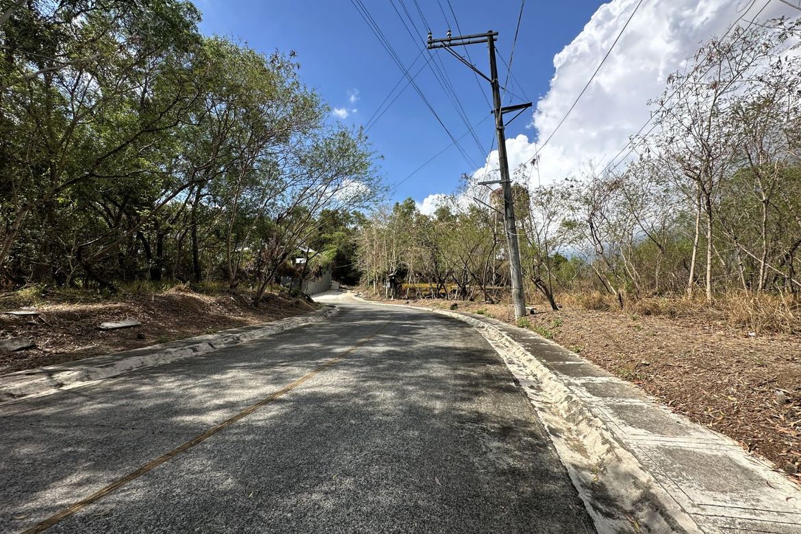 Land for Sale in Santa Cruz, Antipolo, Rizal – photo 7