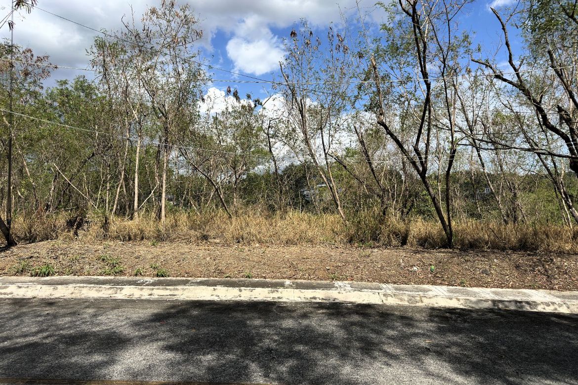 Land for Sale in Santa Cruz, Antipolo, Rizal – photo 8