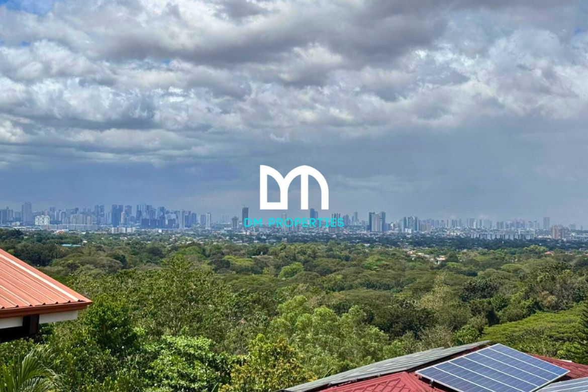 Land for Sale in Santa Cruz, Antipolo, Rizal – photo 8