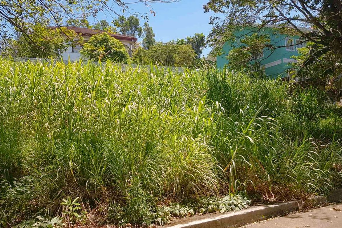 Land for Sale in Santa Cruz, Antipolo, Rizal – photo 3