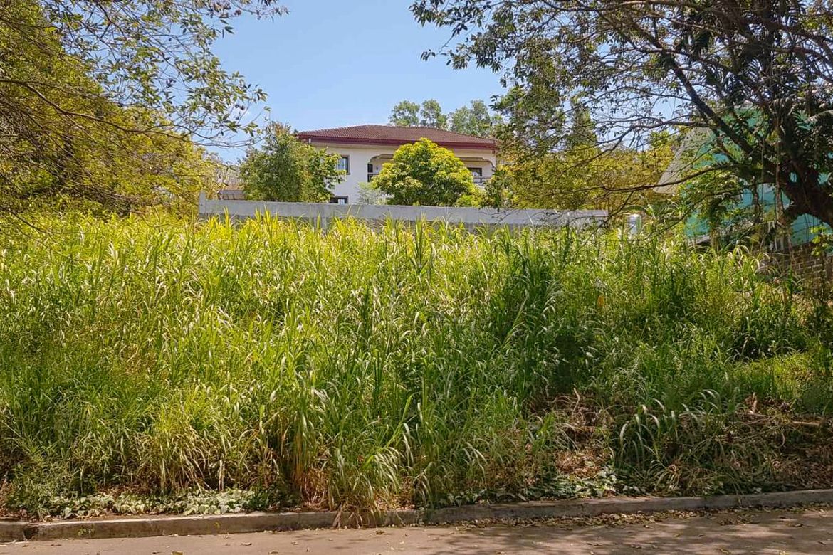 Land for Sale in Santa Cruz, Antipolo, Rizal – photo 8
