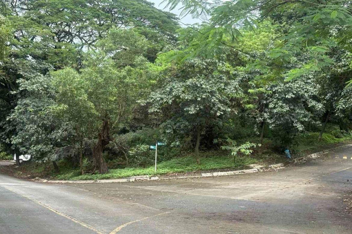Land for Sale in Santa Cruz, Antipolo, Rizal