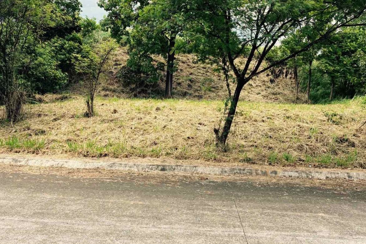 Land for Sale in Santa Cruz, Antipolo, Rizal – photo 3
