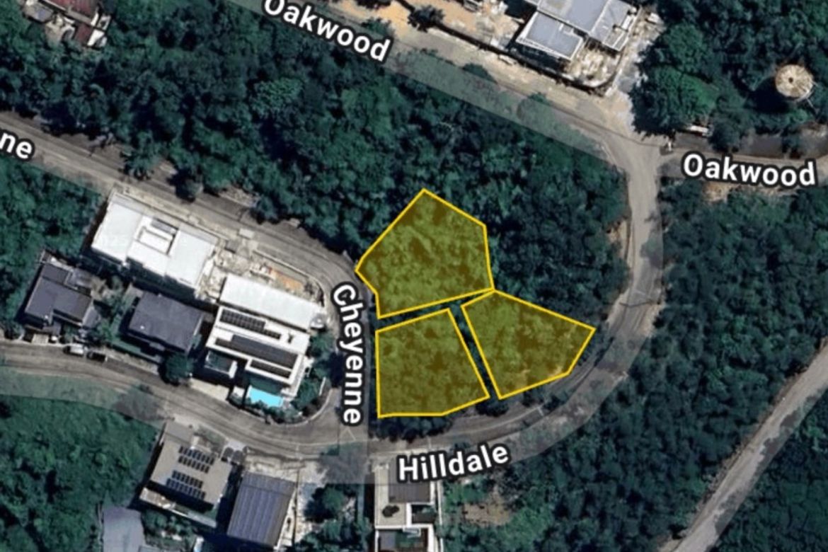 Land for Sale in Santa Cruz, Antipolo, Rizal – photo 5