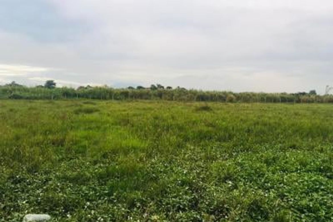 Land for Sale in Santa Cruz, Concepcion, Tarlac – photo 4