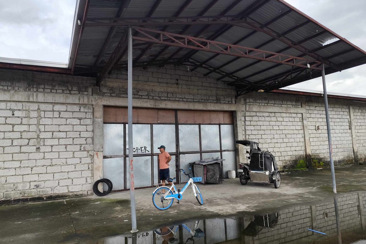 Land for Sale in Santa Cruz, Concepcion, Tarlac – photo 2