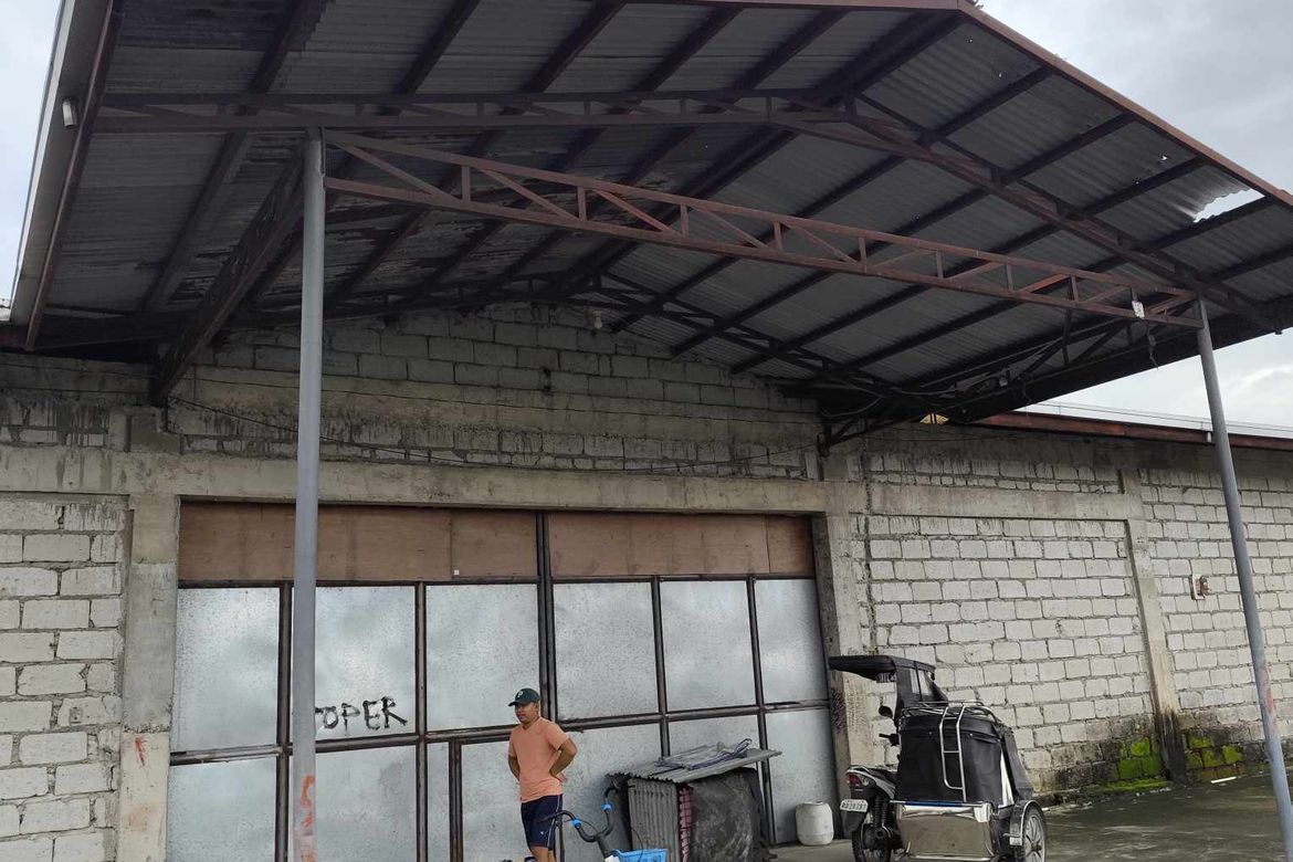 Land for Sale in Santa Cruz, Concepcion, Tarlac – photo 3