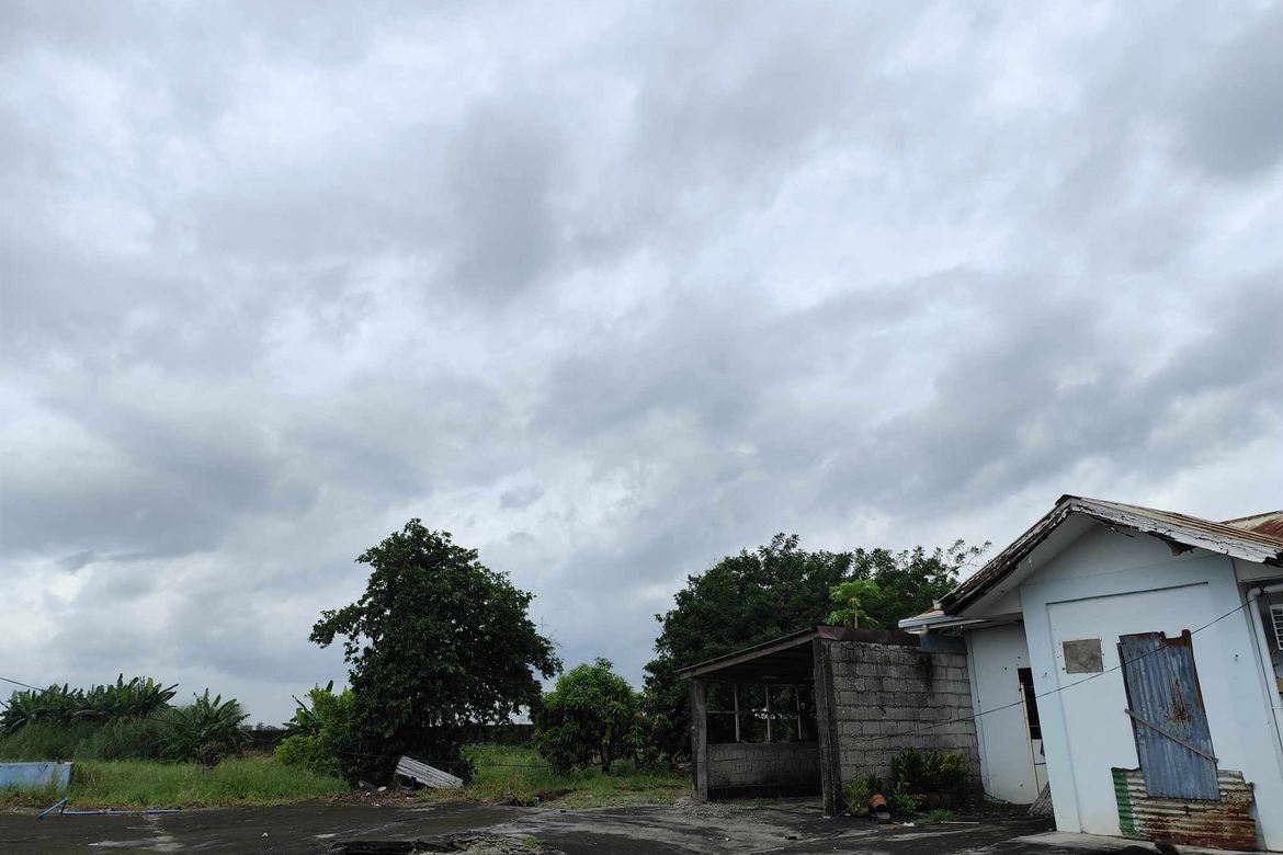 Land for Sale in Santa Cruz, Concepcion, Tarlac – photo 6