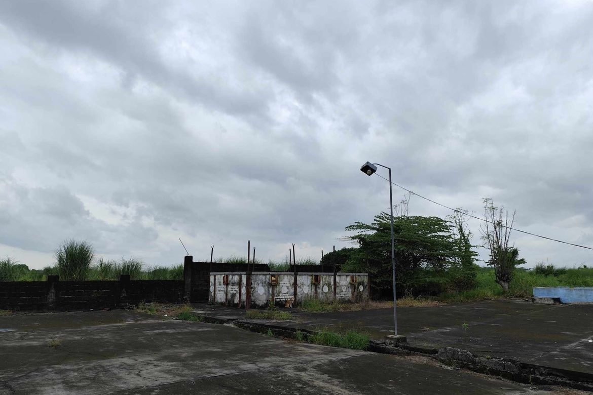 Land for Sale in Santa Cruz, Concepcion, Tarlac – photo 7