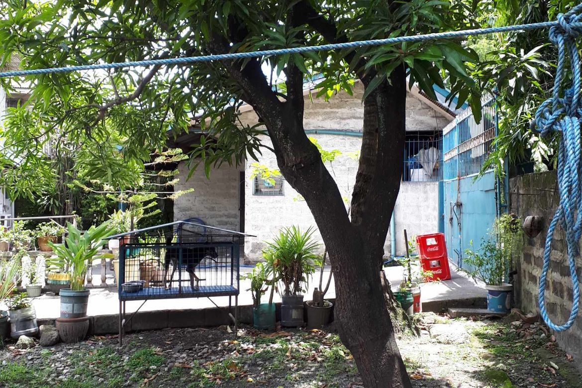 Land for Sale in Santa Cruz, Guiguinto, Bulacan – photo 6