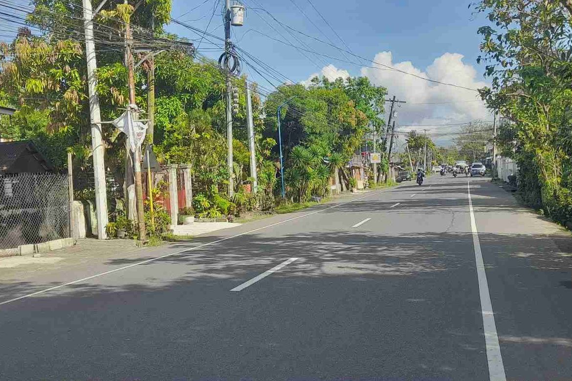 Land for Sale in Santa Cruz, Ligao, Albay – photo 4