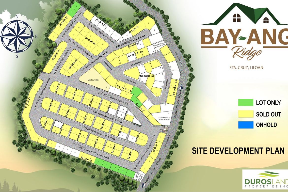 Land for Sale in Santa Cruz, Liloan, Cebu – photo 6