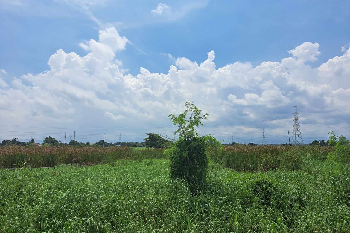 Land for Sale in Santa Cruz, Lubao, Pampanga – photo 2
