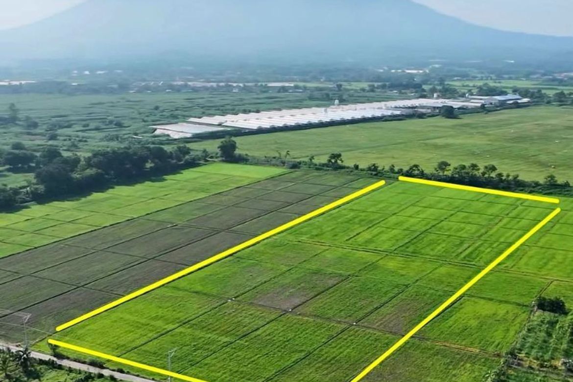 Land for Sale in Santa Cruz, Magalang, Pampanga