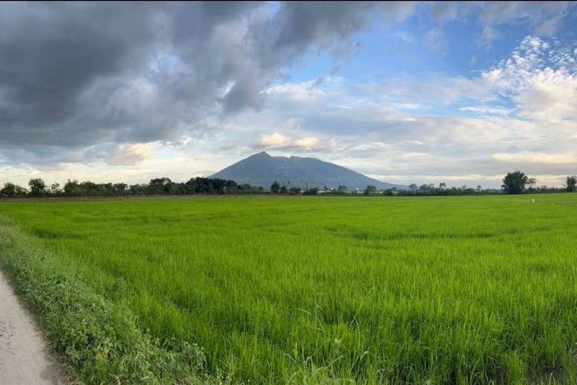 Land for Sale in Santa Cruz, Magalang, Pampanga – photo 4