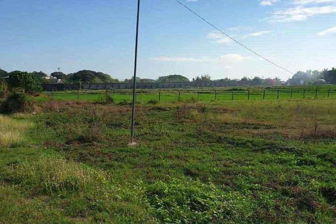 Land for Sale in Santa Cruz, Magalang, Pampanga – photo 7