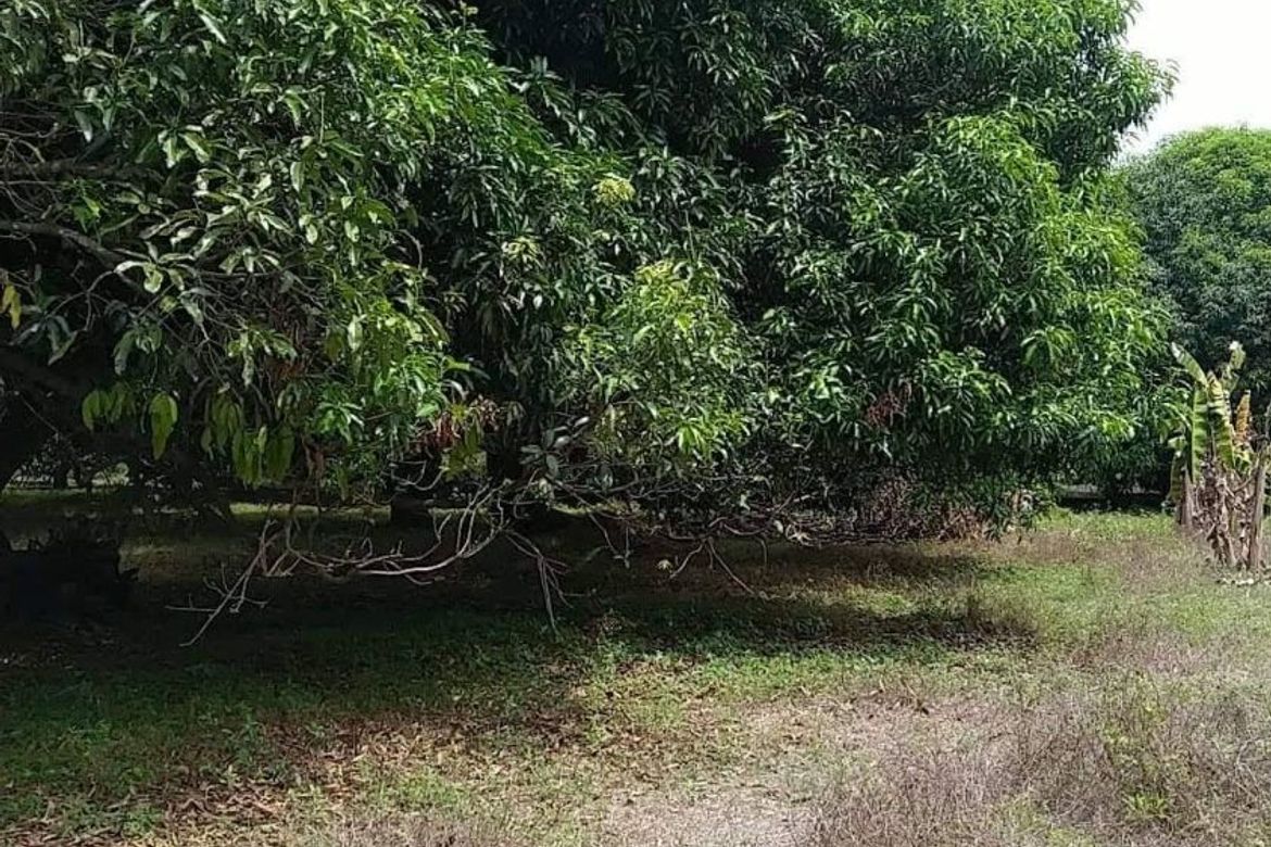 Land for Sale in Santa Cruz, Magalang, Pampanga – photo 3