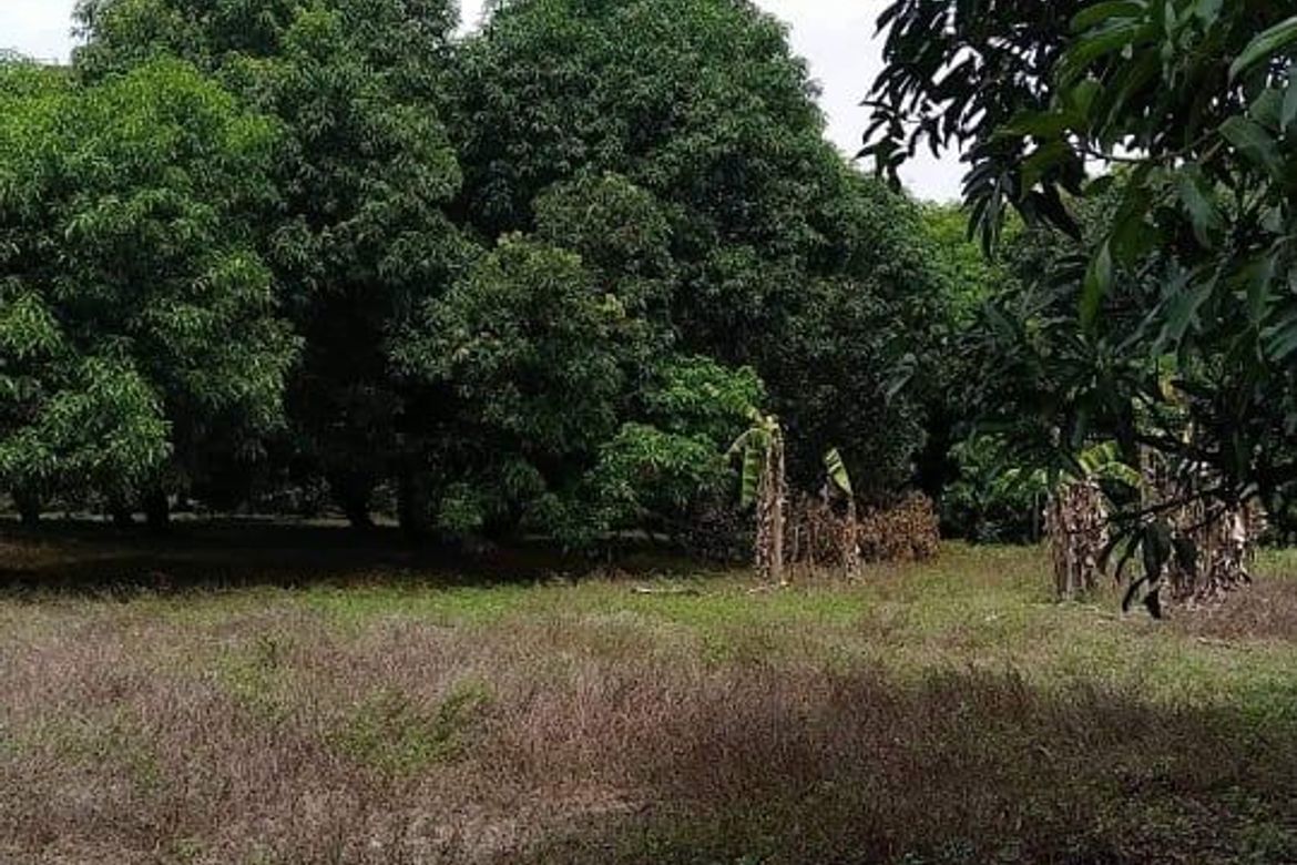 Land for Sale in Santa Cruz, Magalang, Pampanga – photo 4