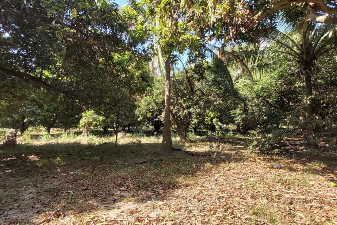 Land for Sale in Santa Cruz, Magalang, Pampanga – photo 5