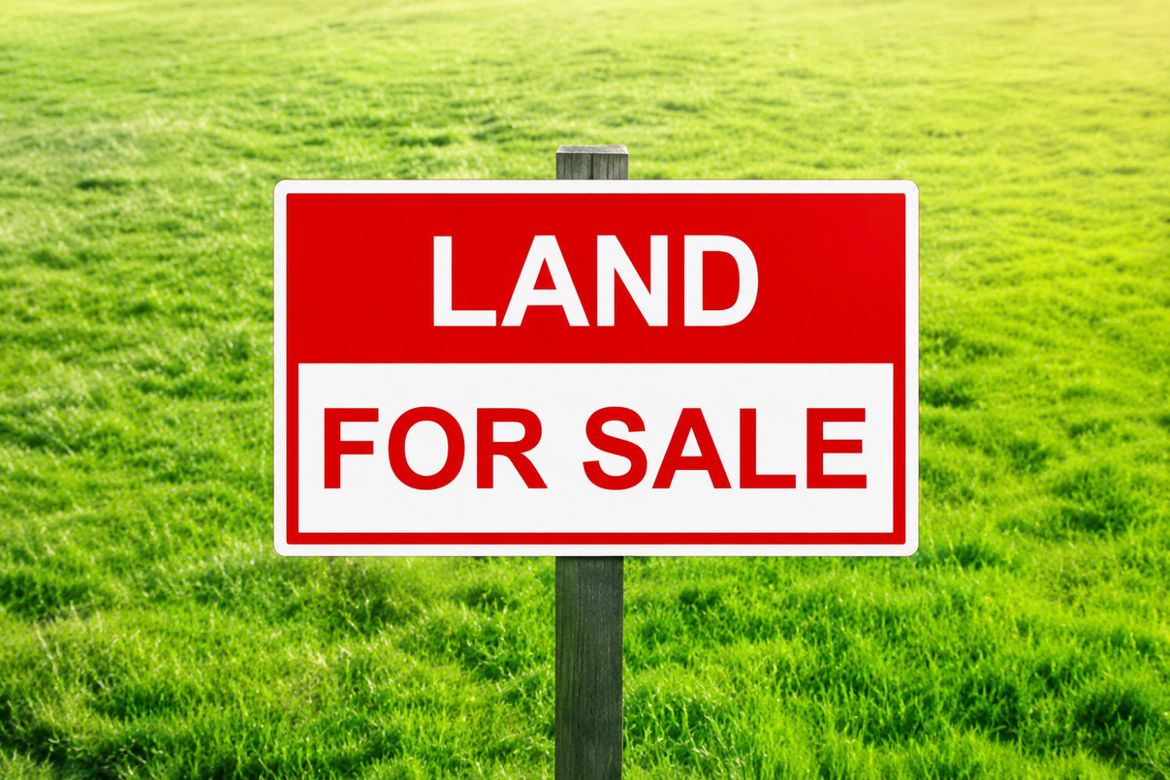 Land for Sale in Santa Cruz, Magalang, Pampanga