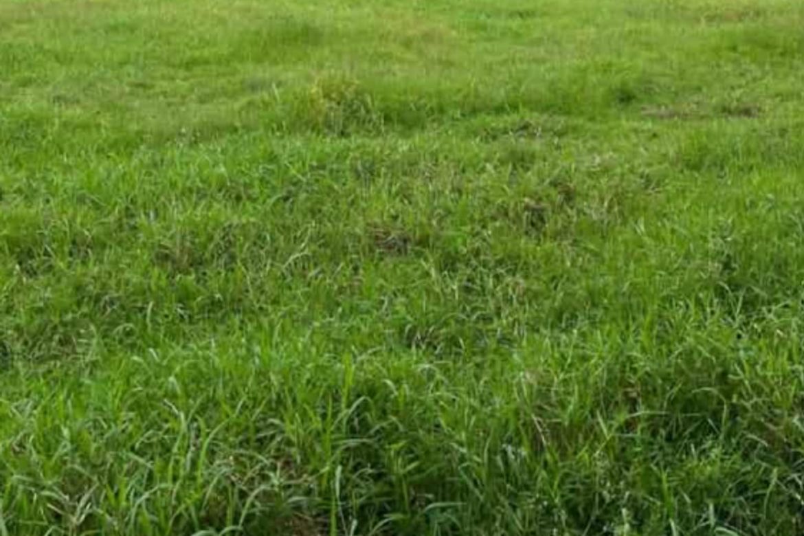 Land for Sale in Santa Cruz, Magalang, Pampanga – photo 3