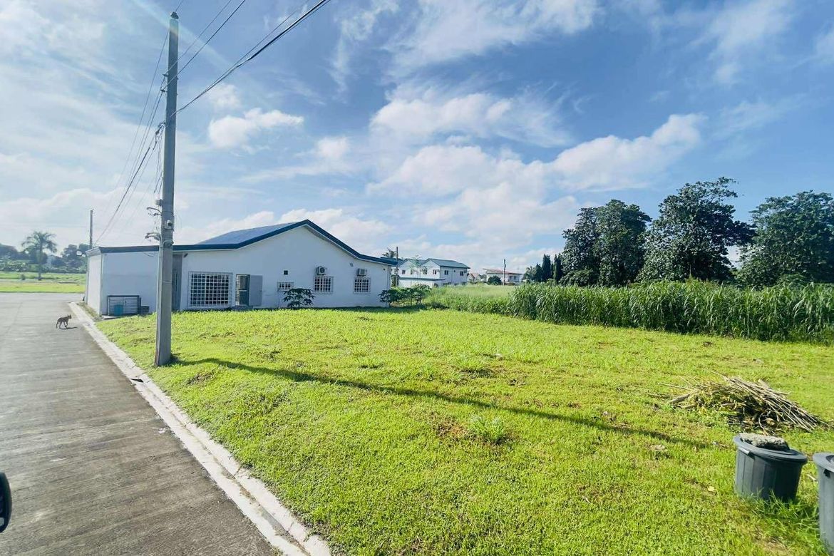 Land for Sale in Santa Cruz, Porac, Pampanga