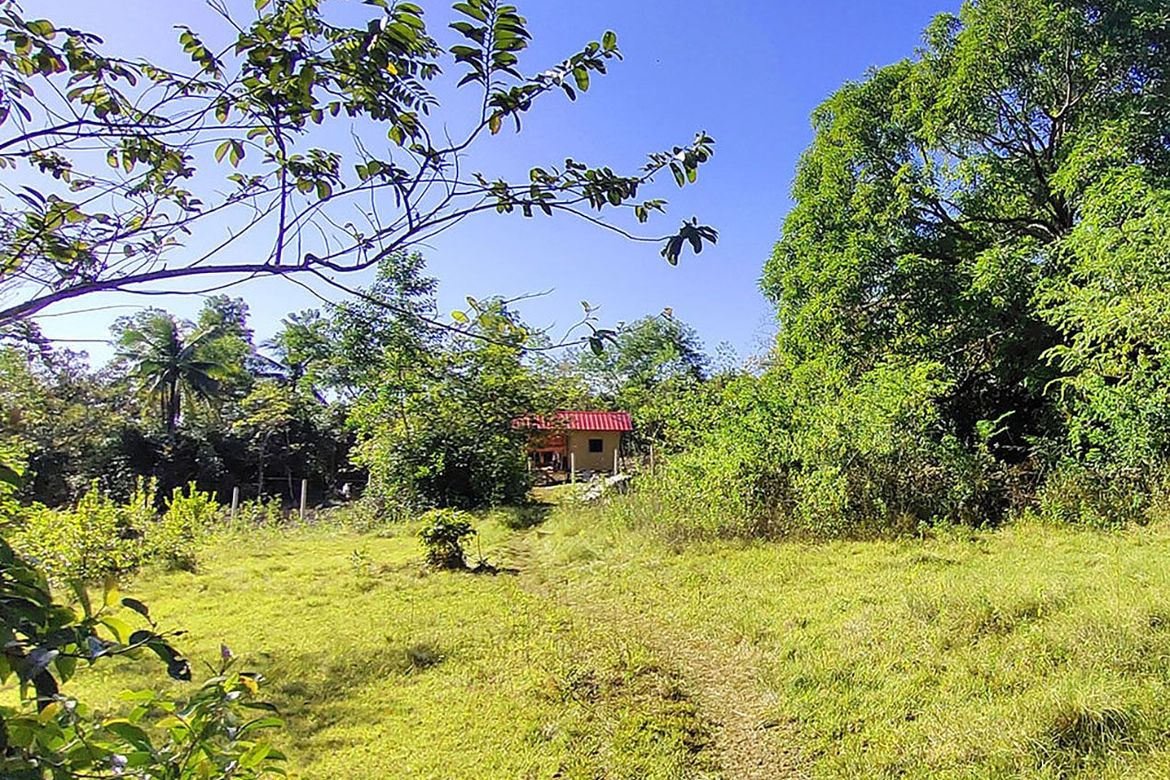 Land for Sale in Santa Cruz, Puerto Princesa, Palawan – photo 5