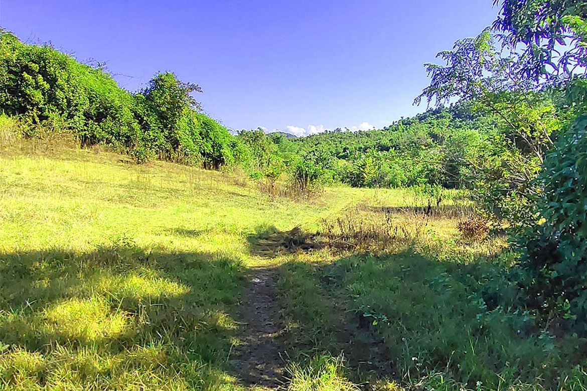 Land for Sale in Santa Cruz, Puerto Princesa, Palawan – photo 6